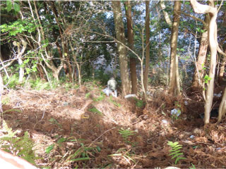 協同組合徳島県解体工事業協会 ギャラリー01